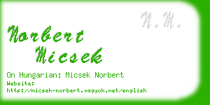 norbert micsek business card